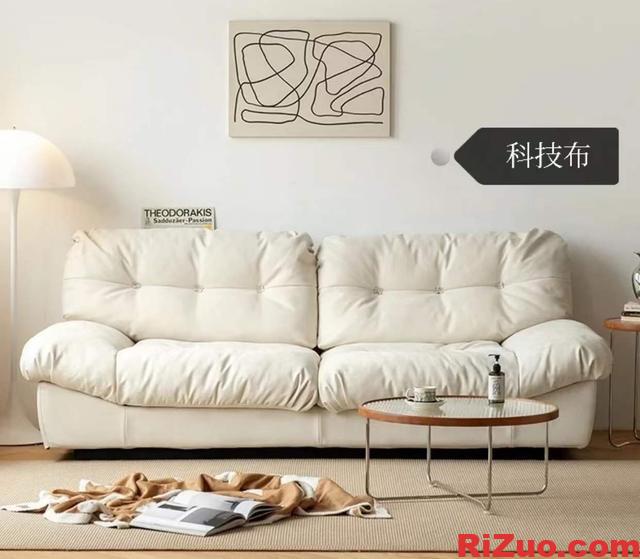 图片[6]_科技布沙发到底值得买不,来看看网友的分享_日作设计