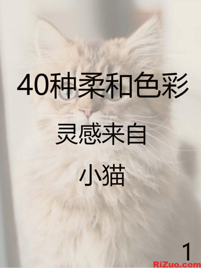 8款以小猫为灵感的柔和调色板_日作设计