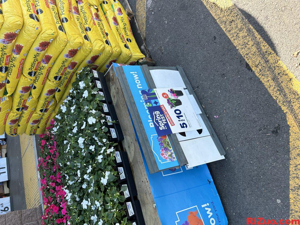 homedepot lowe's花土大减价10刀5包_日作设计