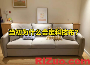 科技布沙发到底值得买不,来看看网友的分享_日作设计