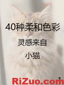 8款以小猫为灵感的柔和调色板_日作设计