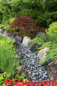 您会喜欢的 31 个美妙的干河床园林绿化创意_日作设计