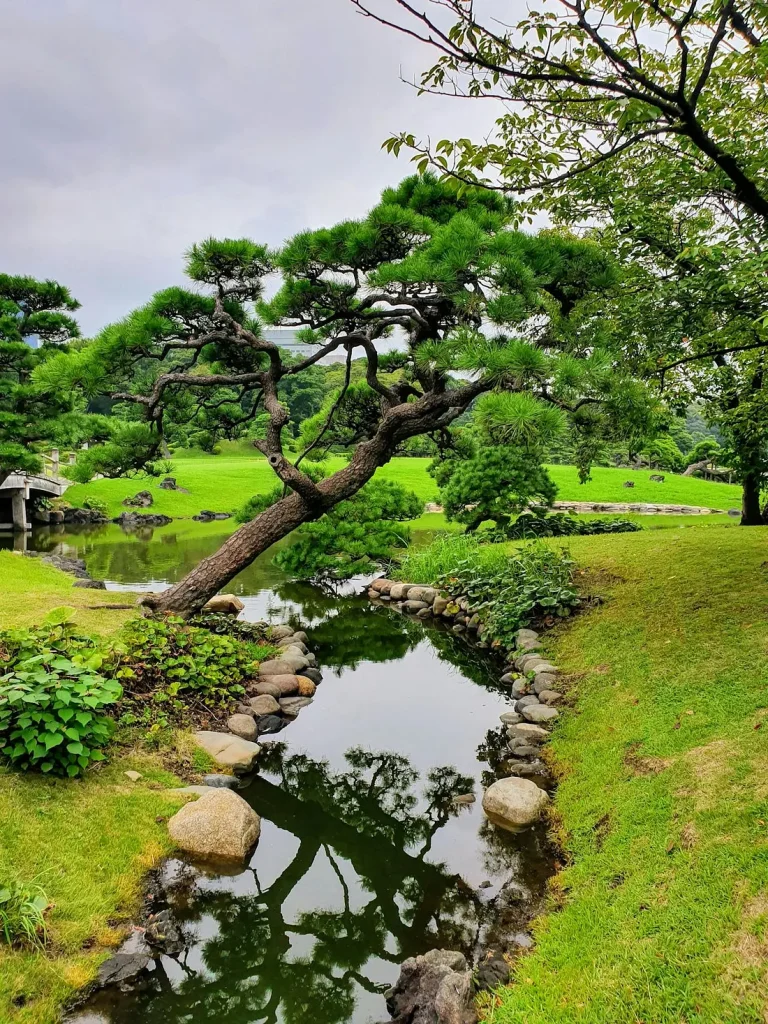 图片[2]_湾区岩石花园,低维护的美丽花园_日作设计