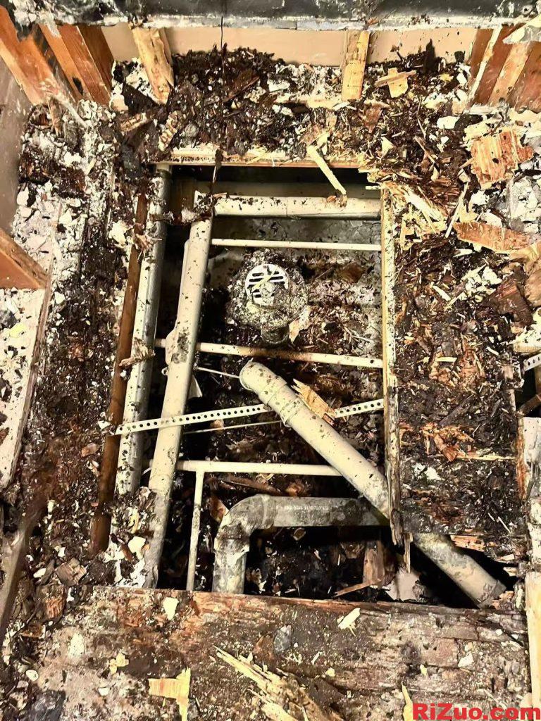 图片[3]_湾区买建商的房子是否比较好？_日作设计